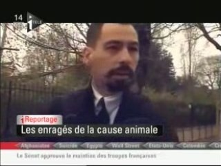 reportage ALF les enragés de la cause animale itl