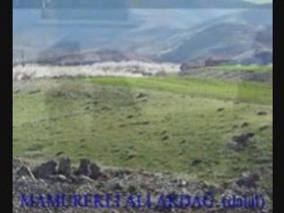 Mamurek