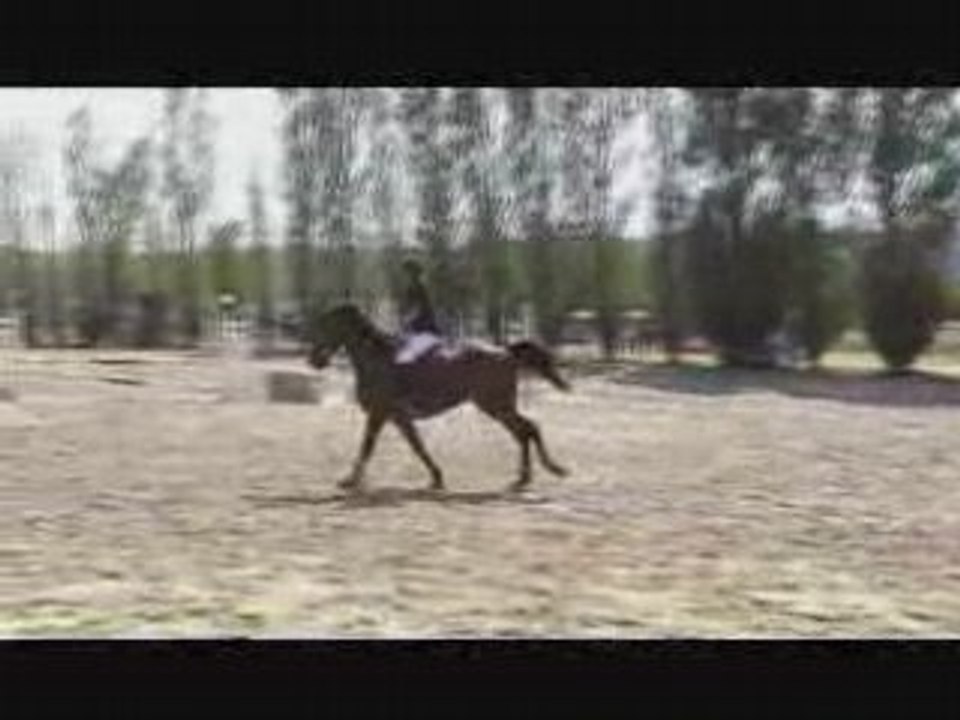 Chambly jump à Fay les étangs