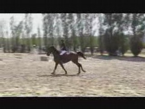 Chambly jump à Fay les étangs