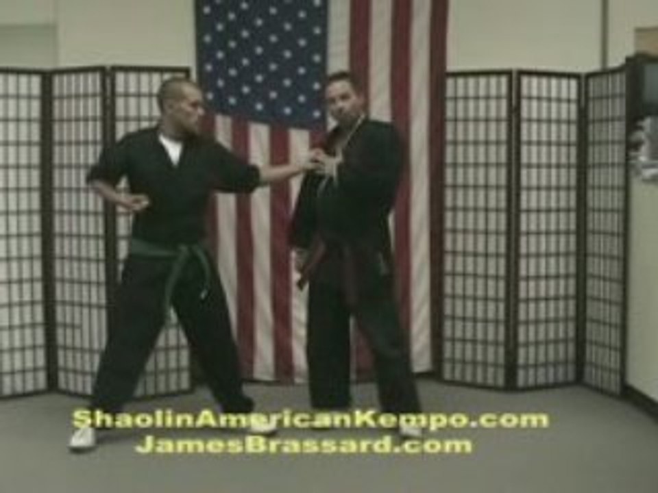 Combat Fighting Techniques/Pressure Points/Kenp...