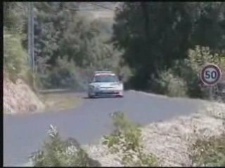 Rallye des fourmes 2008