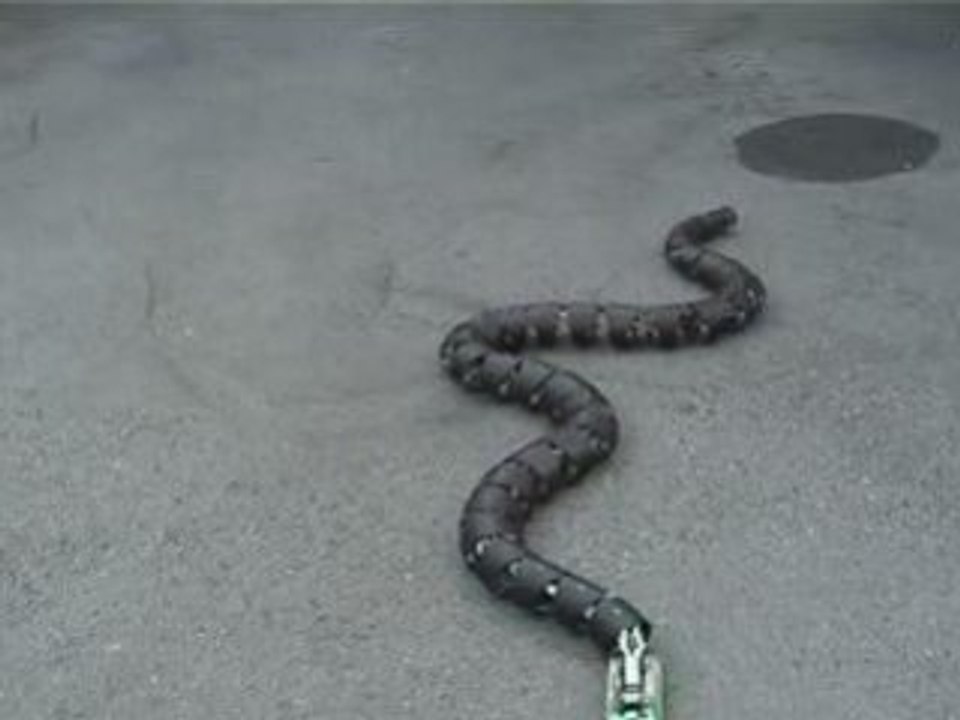 Robot serpent (magique)