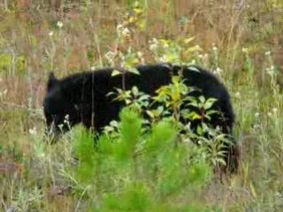 ours canada