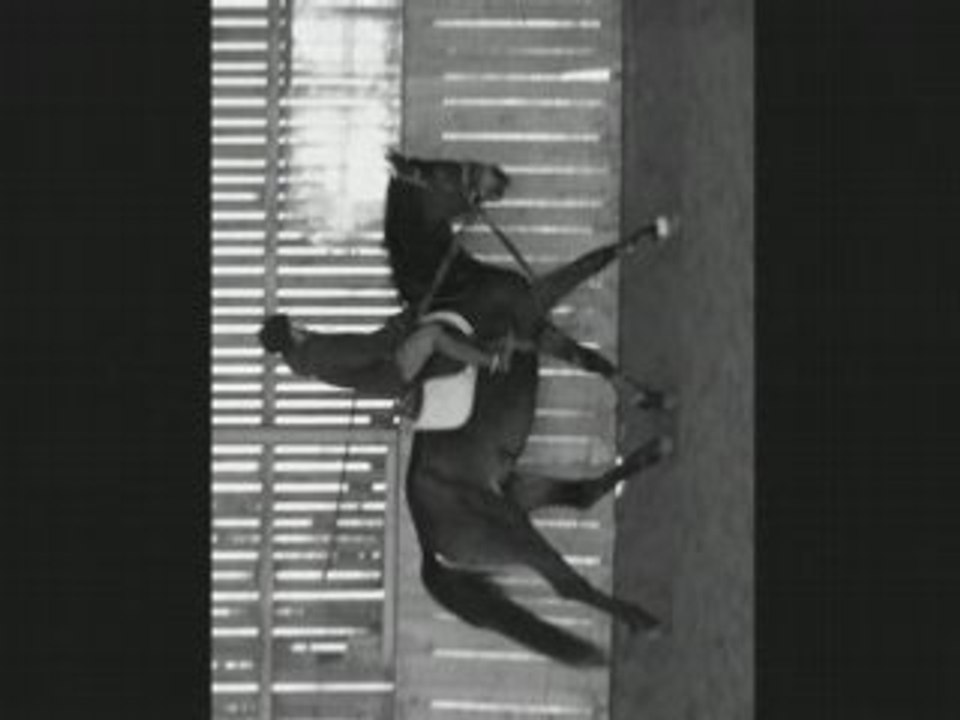 Ma louloute