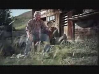 Kuh von oben - Aufstrich auf der Stulle ..?