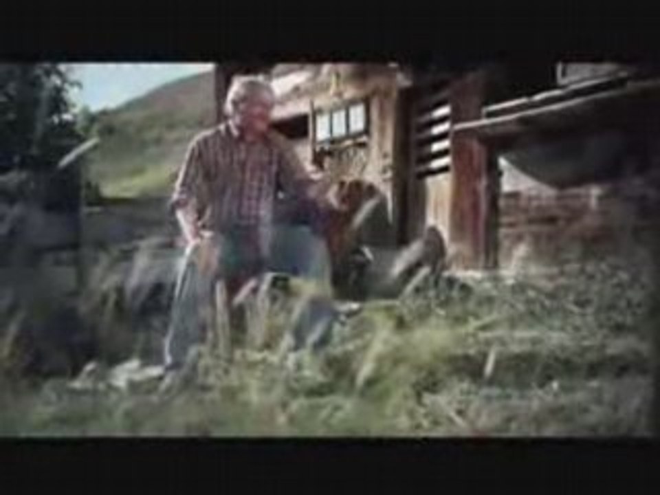 Kuh von oben - Aufstrich auf der Stulle ..?