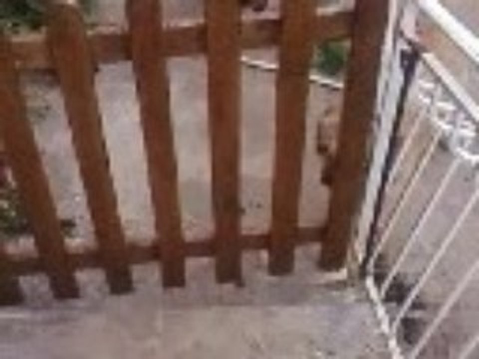 comment ouvrir une barrière