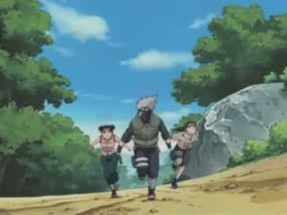 Collection Naruto en DVD