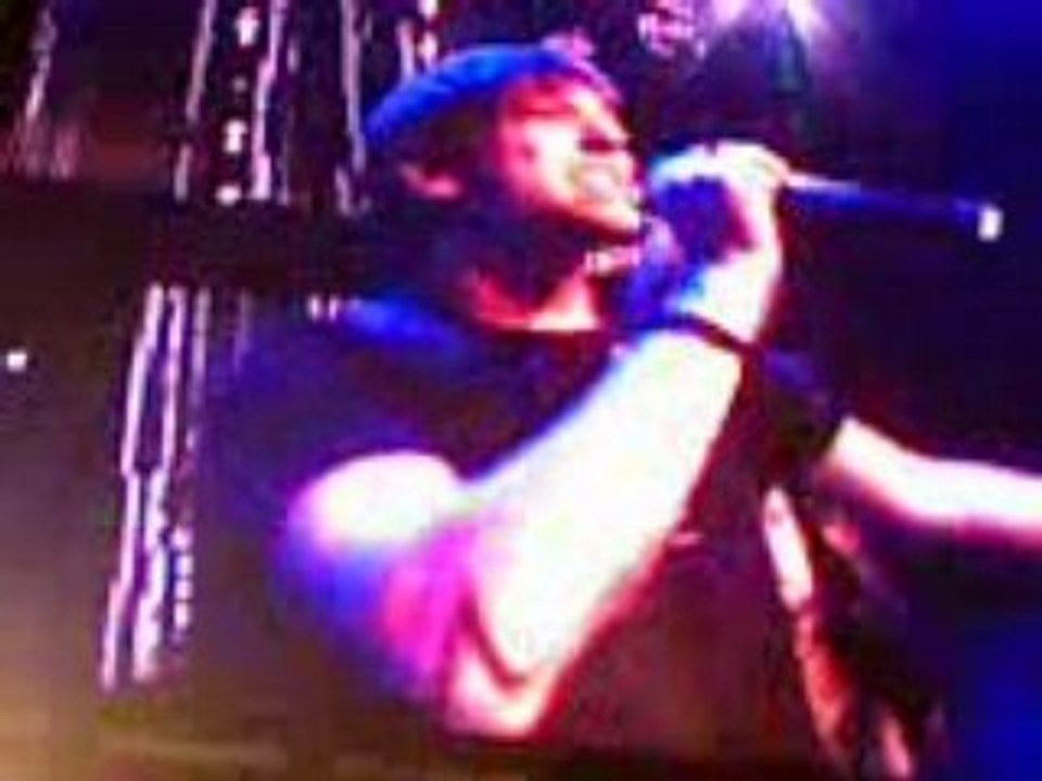 Quentin Mosimann Nrj In The Park 2008 (3)