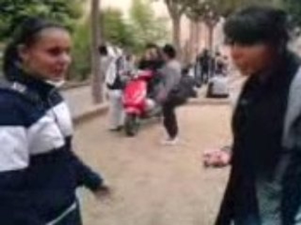 TMS ( L )