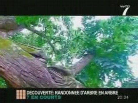 Parcs et Jardins Nantais : D'arbre en arbre