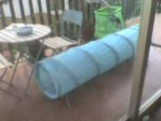AGILITY