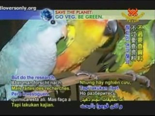 Bird Lovers Only - A Loving Avian Haven-Part 1