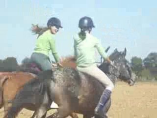 Course dans le champs