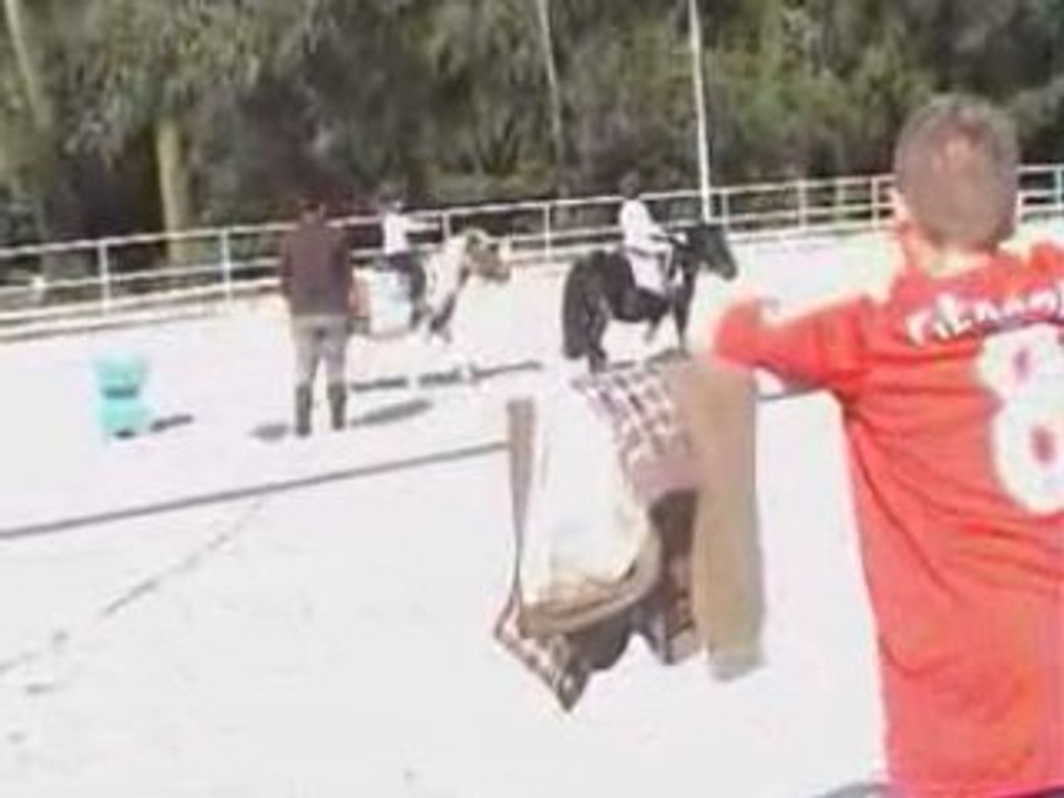 Première heure d'équitation (partie 3)