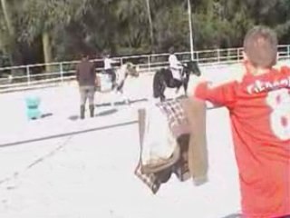 Première heure d'équitation (partie 3)