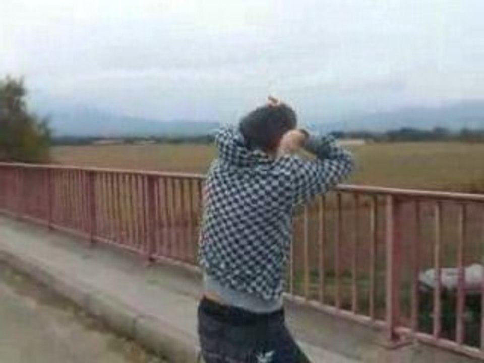 Auto david