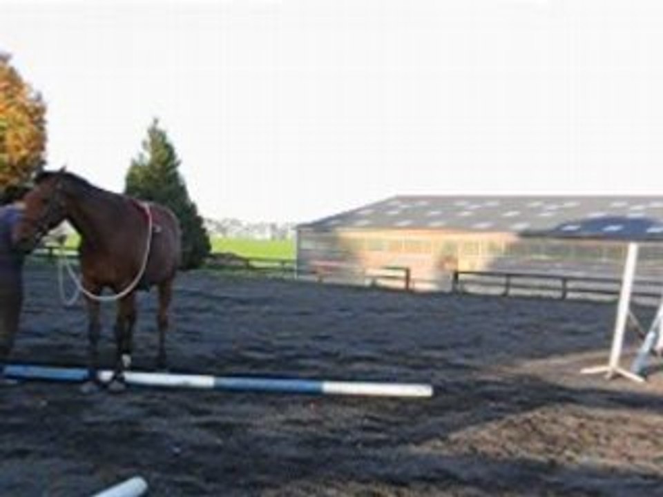 Hardi Défi 5 FFE Déplacements lateraux