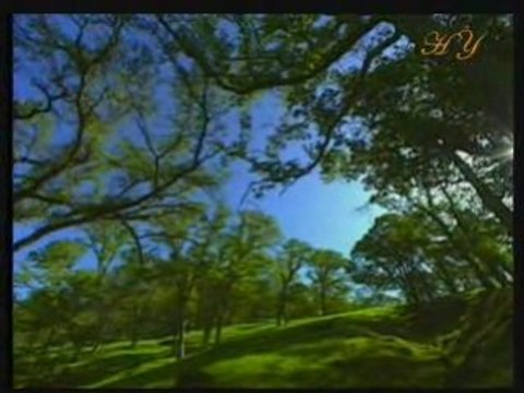 Ölüm İnsan İçin Bir Yok Oluş Değildir