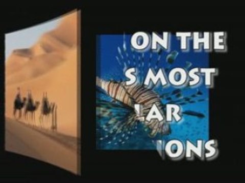 HolidayDealer.com - Low prices. Great holidays. Book ...