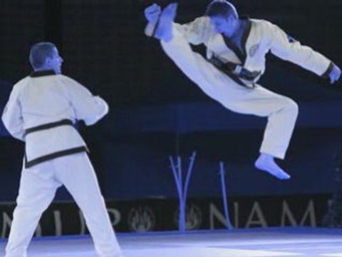 Festival des Arts Martiaux Namur 2008