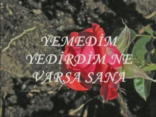 BEDİRHAN GÖKÇE-NEFRETİM AŞKIMI AŞTI BU GECE