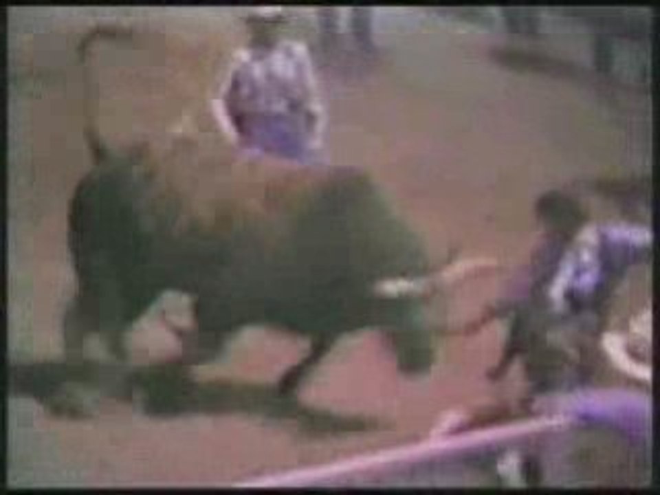 Video gag - special rodeo