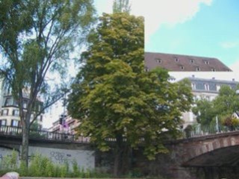Batorama1