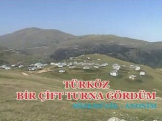 türköz bır cıft turna