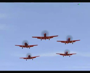 Patrouille Virtuelle Birds Of Fires
