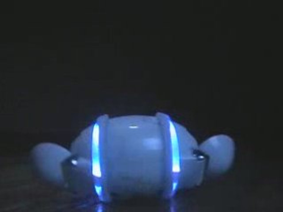 Sony Rolly Dizzy Rascal
