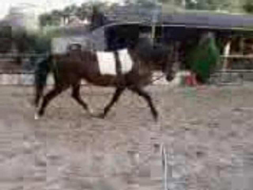 Trot main droite