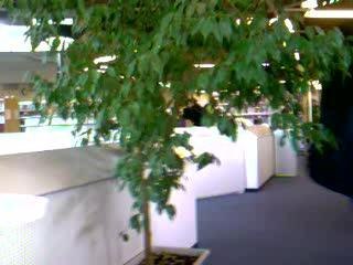 Chute à la bibliothèque Universitaire