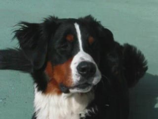 Mon beau et ma crapule