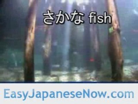 Learn Japanese | Japanese Word Meanings