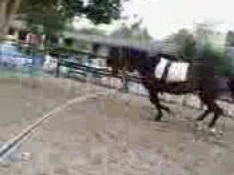 Galop main gauche
