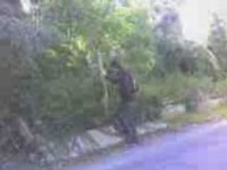 Vidéo 0014 la suite