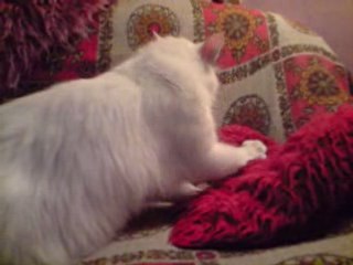 tricoti tricotin apres tout c mon coussin