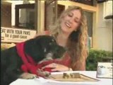Celebrity Dog Owners Celebrate National Dog Week