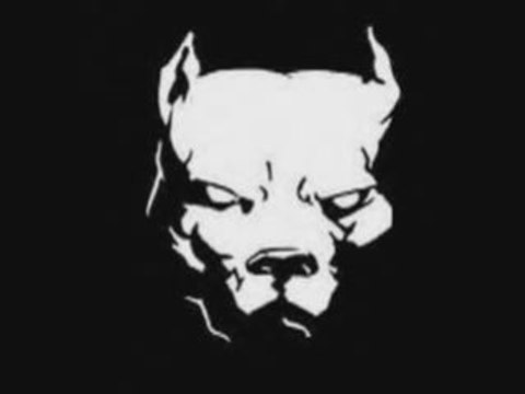 Cassie lil wayne official girl brand new by tonybrasco77