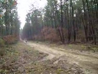 125 YZ 2001 - Lilian Le Porge (33)