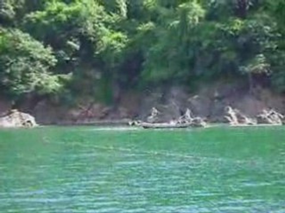 Les pêcheurs tirent la seine à Castara Bay