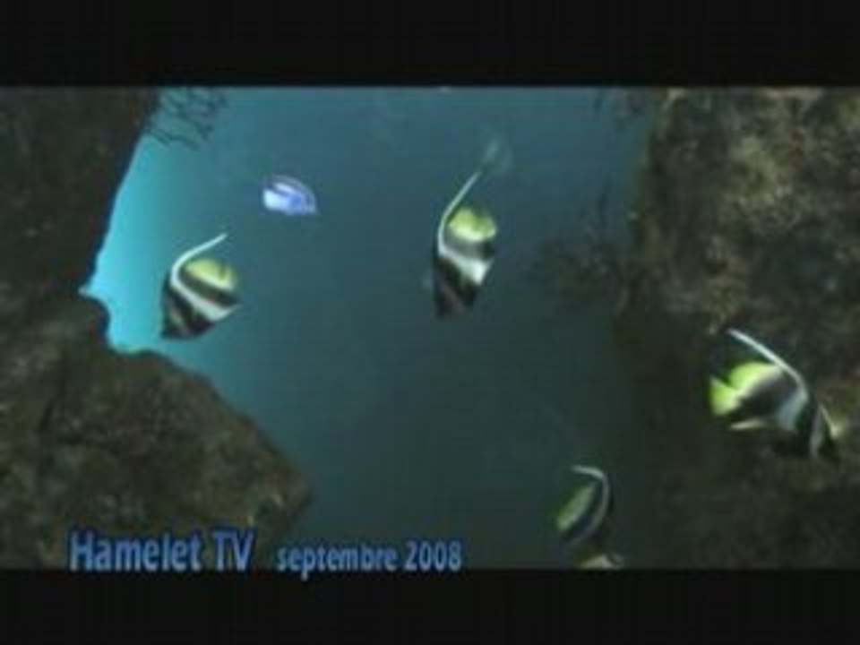 Hamelet TV 1