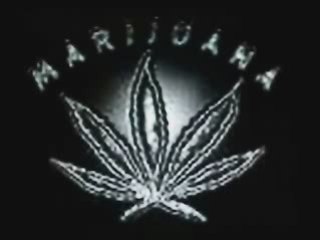 Conspiration du cannabis