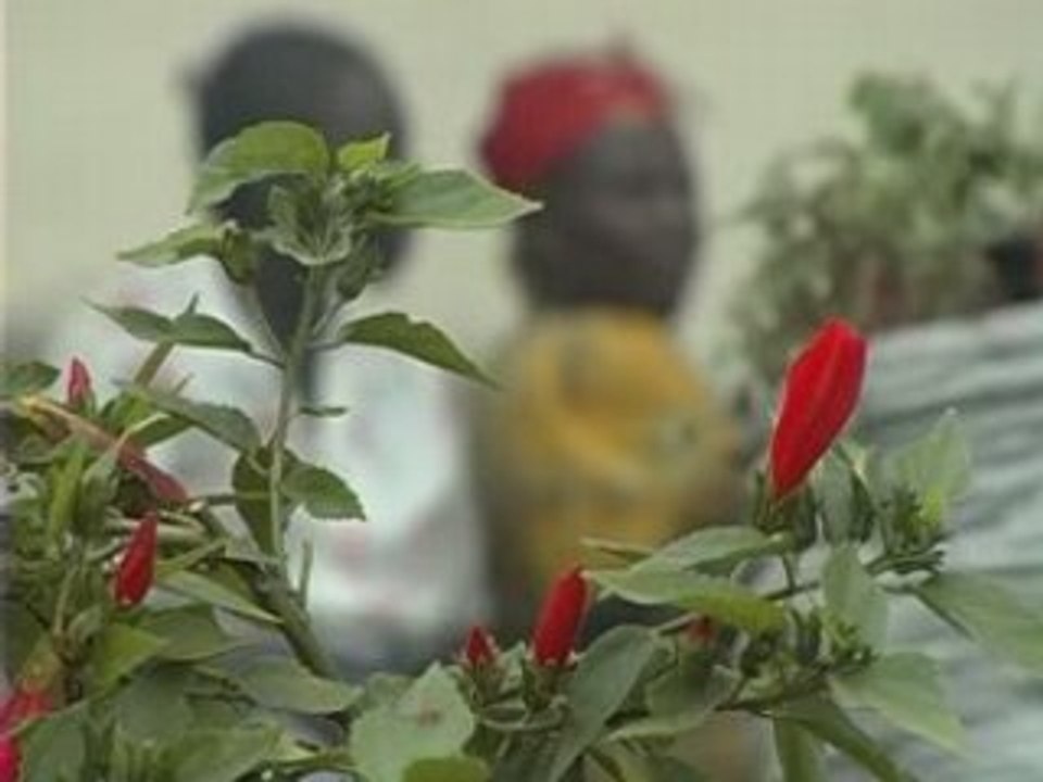 Lucy Liu visits a hospital for children and women in DRC