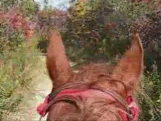 Balade a cheval