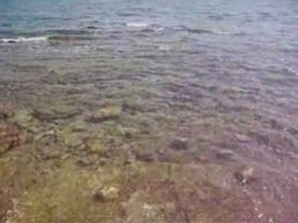 La mer