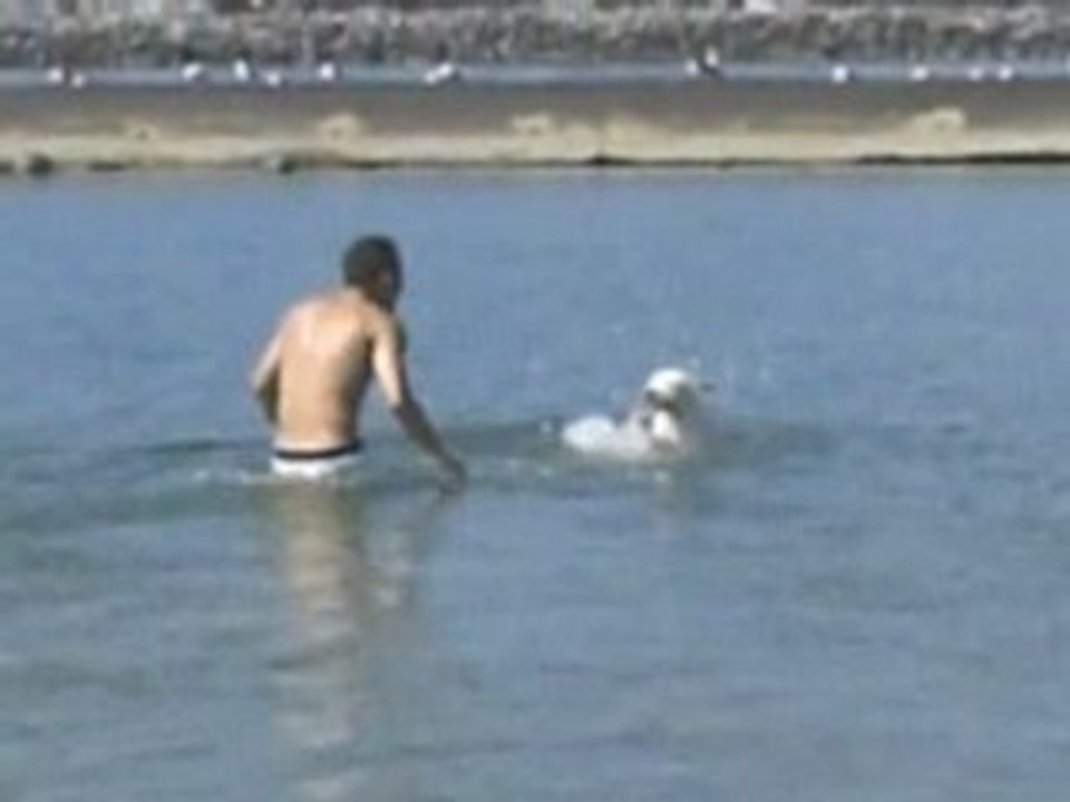 Lexi at the Beach