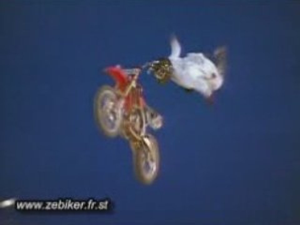 Chute....